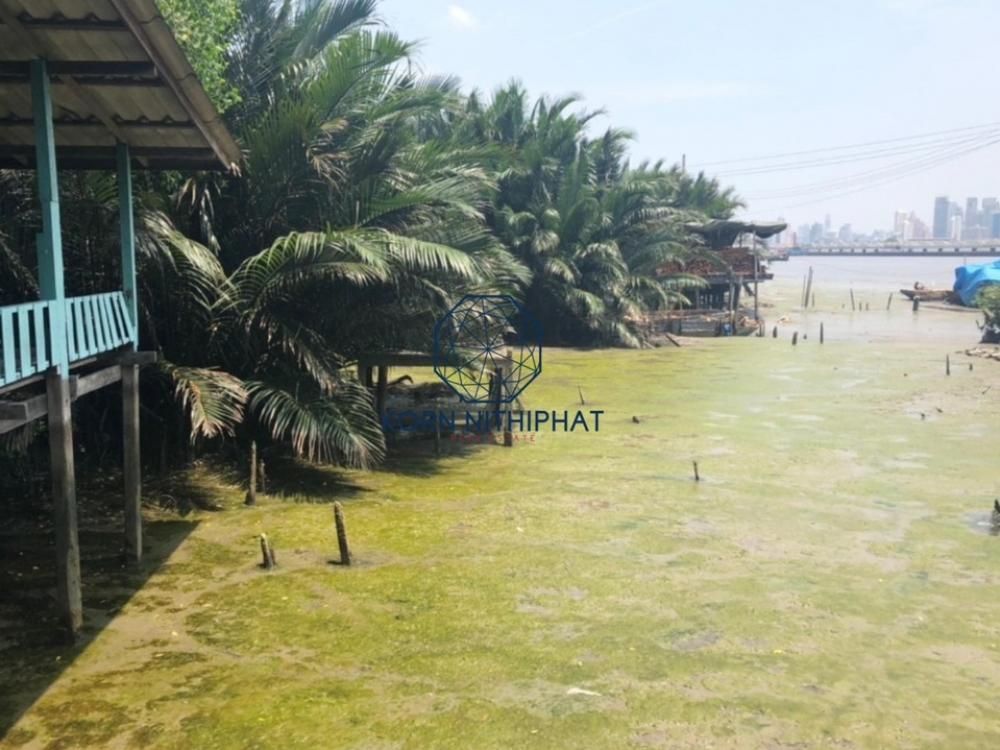 For SaleLandRathburana, Suksawat : Land for sale along the Chao Phraya River, 6-3-32 rai, Bang Krachao.