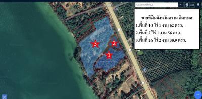 ขายที่ดินตราด : ขายที่ดินสวย จ.ตราด 39 ไร่ มีสวนผลไม้หลายชนิดมากถึง 600 กว่าต้น พร้อมเก็บเกี่ยว ได้กำไรดีแน่นอน ทำเลดีมาก