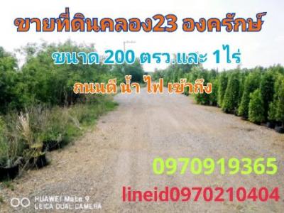 For SaleLandNakhon Nayok : Land for sale, agricultural garden, good atmosphere, 1 rai, Khlong 23, Ongkharak, Nakhon Nayok.