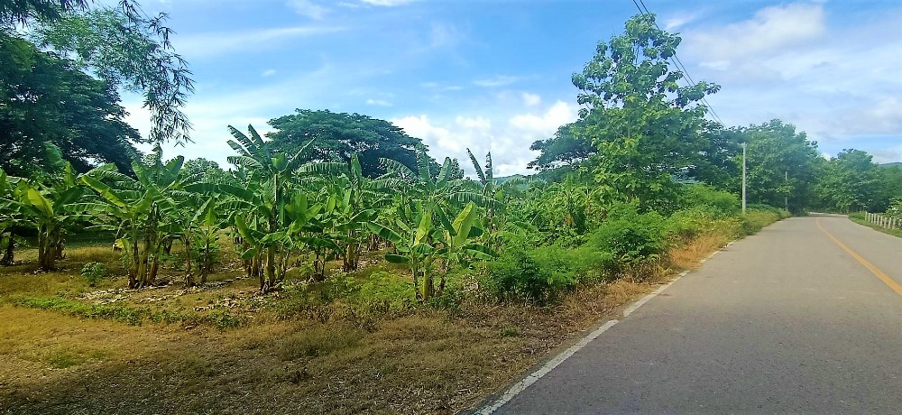 For SaleLandPhayao : (Can be divided) Land for sale 4 rai 3 ngan 21 sq.w. on Phayao-Chiang Mai road. 9 km. from Phayao University. 180 degree mountain view.