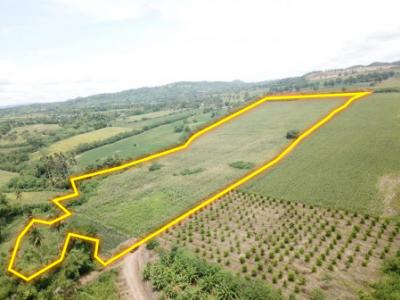 For SaleLandPak Chong KhaoYai : Land for sale in Khao Yai, Khlong Muang Subdistrict, Pak Chong District, 45 rai, beautiful view beyond description.