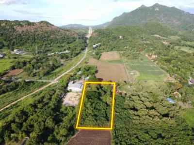 For SaleLandPak Chong KhaoYai : Land for sale in Khao Yai, Phaya Yen Subdistrict, Pak Chong District, 5 rai, cheapest, suitable for buying and storing