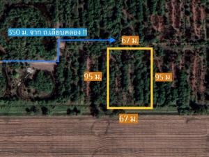 For SaleLandPathum Thani,Rangsit, Thammasat : Land for sale 4 rai, Khlong 11, Nong Suea, Pathum Thani, near Liap Khlong 11 road, inexpensive