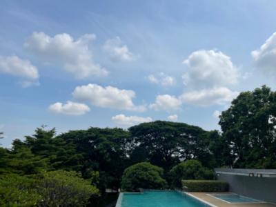 ขายบ้านปิ่นเกล้า จรัญสนิทวงศ์ : อนาคตหาไม่ได้แล้วในราคานี้🌳ความสมบูรณ์แบบ🌳เริ่มต้นได้จากที่นี่🌳ขายบ้านเดี่ยวในฝันของใครหลายๆคน ที่อยากได้มาครอบครอง (ทำเลทองในอนาคต)🎉🎉🎉