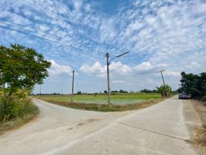 For SaleLandNakhon Sawan : Land for sale in Takhian Luen Subdistrict Mueang Nakhon Sawan District, size 13 rai, concrete road access