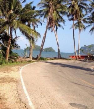 For SaleLandChumphon : Land for sale, next to the sea, 200 square meters, front on the road 18 meters, behind the sea 19 meters, selling for only 2.89 million baht