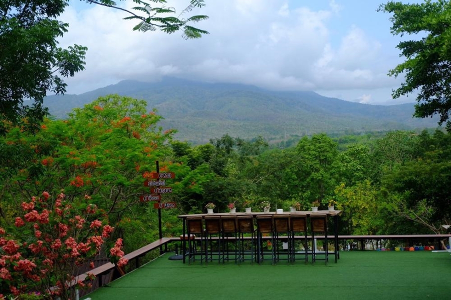 ขายที่ดินเชียงใหม่ : ขายที่ดิน 53 ไร่ 2 งาน บนดอยวิวสวย ต.แม่แรม อ.แม่ริม จ.เชียงใหม่