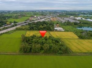 For SaleLandPathum Thani,Rangsit, Thammasat : Location is hard to find!!! Land for sale suitable for warehouse or agricultural type factory. In Sam Khok District, an area of 6 rai, just away from the main road Kanchanaphisek (Highway 9) only 230 meters, special price!!!