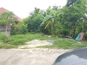For SaleLandNawamin, Ramindra : Land for sale, area 80 sq m., Soi Nawamin 42, Intersection 20-11, Bueng Kum District, Bangkok.