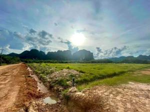 For SaleLandKrabi : 5 Lands for sale(loss) very close to Krabi International Airport, 30 Rai 87 sq.W in total, or buy separately (see the photos for detail)