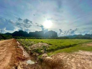 ขายที่ดินกระบี่ : ที่ดินพร้อมขาย(ขาดทุน) กระบี่ ต.กระบี่น้อยใกล้สนามบินนานาชาติ 5แปลง รวม 30ไร่ 87ตร.ว หรือซื้อแยกเป็นแปลง ตามรูปภาพ