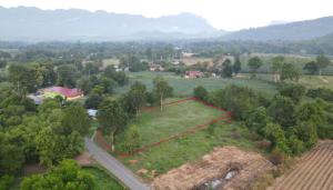 For SaleLandKanchanaburi : Land for sale 2 rai 1 ngan, red Garuda deed, ready to transfer, next to the road, selling for 2 million baht, near Tha Thung Na Temple intersection.