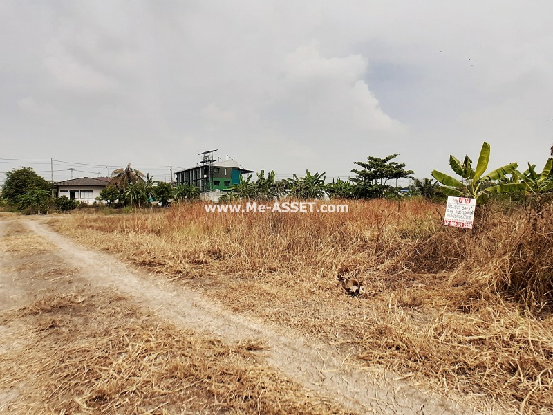 For SaleLandNakhon Pathom : Land for sale in Thaiyawat area, Mahasawat, Salaya: near Ngio Rai Subdistrict Administrative Organization / 300 square wah : CODE NN-82216