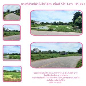 For SaleLandPathum Thani,Rangsit, Thammasat : Land for sale in Soi Pradit Charoen, Soi 28, Mueang Pathum Thani District, Pathum Thani Province.