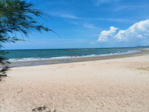 For SaleLandCha-am Phetchaburi : Land 98 sq m., Chao Samran Beach, Phetchaburi