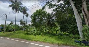 ขายที่ดินตราด : ขาย ที่ดิน 6 ไร่ 3 งาน 62 ตร. วา เกาะช้าง จ. ตราด ติดถนนใหญ่และทะเล ราคาถูก