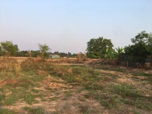 For SaleLandPrachin Buri : Land 24 rai 1 ngan 11 sq m. Ban Hoi, Prachantakham, Prachinburi.
