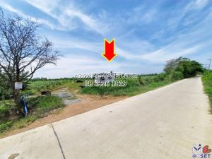 For SaleLandNakhon Pathom, Phutthamonthon, Salaya : Agricultural land for sale, rice farming, Bang Kaeo Fa, Huai Phlu, Bang Phra: Tambon Wat Lamut, with natural water sources: 3-1-77.7 Rai: CODE NN-91008