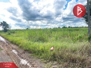 For SaleLandPhetchabun : Land for sale, area 9 rai 3 ngan 82.5 square wa, Wichian Buri, Phetchabun.