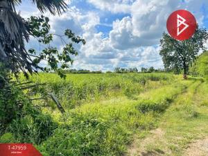 For SaleLandPhetchabun : Quick sale of land, area 25 rai 68.9 square wa, Wichian Buri, Phetchabun.