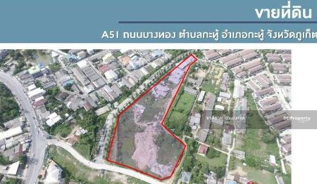 For SaleLandPhuket,Patong : Land for sale, width of 90 meters, on Bang Thong Road, Kathu, Phuket, 12 rai 1 ngan 67 sq. wa. Suitable for housing development.