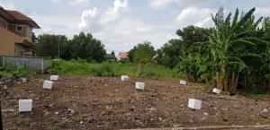 For SaleLandPathum Thani,Rangsit, Thammasat : Land for sale, area 70 sq m. in Chaiyapruek Rangsit Village, Lam Luk Ka 11 Road (Khlong 2), the land has been filled.