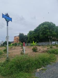 For SaleLandChaengwatana, Muangthong : Land for sale near Muang Thong, Pak Kret, Tiwanon 34 (budget alley)