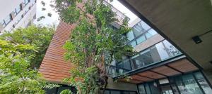 ขายบ้านอารีย์ อนุสาวรีย์ : ขายบ้านเดี่ยว โซนอารีย์ แบบ4ห้องนอน 5ห้องน้ำ 3ที่จอดรถ พร้อมเข้าอยู่คต่ะ