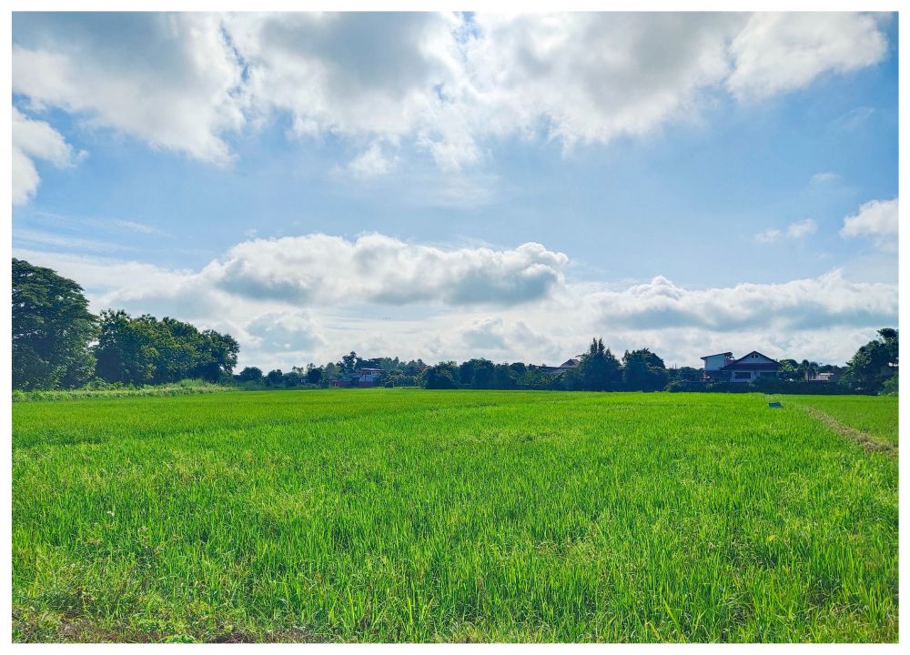 For SaleLandChiang Rai : land for sale, suitable for allocation, 13-2-50 rai, near the eastern bypass. Opposite Chiang Rai International Airport