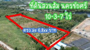 For SaleLandNakhon Pathom, Phutthamonthon, Salaya : Agricultural land for sale, planting whole oranges, hiring a caretaker in Nakhon Chai Si, Nakhon Pathom