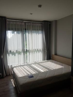 For RentCondoBangna, Bearing, Lasalle : For rent, Aspen Condo Lasalle, size 26 sq.m., 4th floor, Building A, opposite Sikarin Hospital, easy to find food, price 7,500 baht, room ready to be in early October