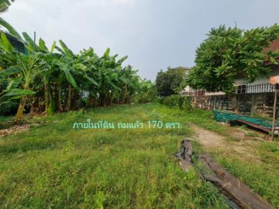 For SaleLandNonthaburi, Bang Yai, Bangbuathong : Land for sale, Soi Tiwanon 46, Mueang Nonthaburi, area 197 sq m, near the BTS line and the construction of a famous housing estate project
