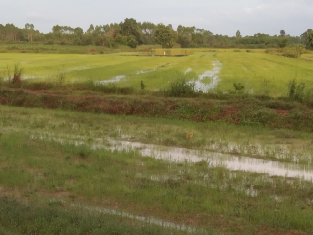 For SaleLandSa Kaeo : ⚡ Quick sale...Large plot of land, cheap price, size 122-1-35 rai, Mueang District, Sa Kaeo Province ⚡