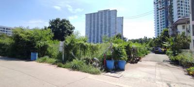 For SaleLandPattaya, Bangsaen, Chonburi : Land for sale (5-0-55)rai, Jomtien Sai 2 Soi 7, Pattaya, Chonburi.