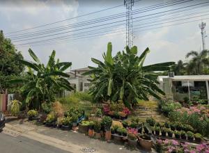 For SaleLandBang kae, Phetkasem : Land on Ratchamontri Road, 3 rai, rectangular plot The side is a public way. near BTS near The Mall Bang Khae