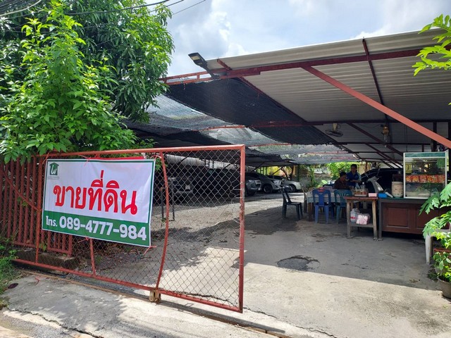ขายที่ดินอ่อนนุช อุดมสุข : ขายที่ดินเปล่า ถมแล้ว 123 ตร.ว. ซอยเชลียง3 อุดมสุข 43 ถนนอุดมสุข(สุขุมวิท 103) พระโขนง กรุงเทพ