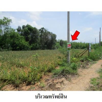 For SaleLandRatchaburi : Property TAMC Code 9Z1141 Ratchaburi 259000