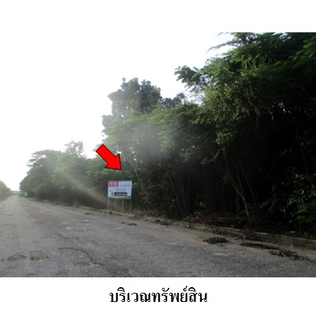 For SaleLandRatchaburi : Property TAMC Code 8Z3215 Ratchaburi 35100000