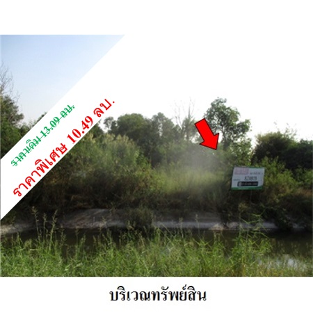 For SaleLandAyutthaya : Property of TAMC Code 8Z6803 Phra Nakhon Si Ayutthaya 10490000