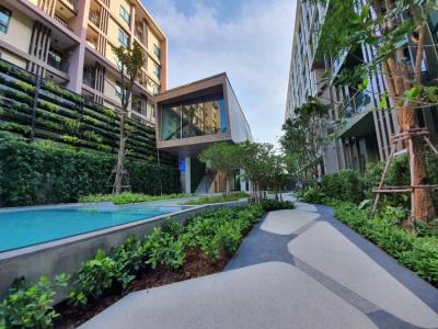 For RentCondoPhuket,Patong : Space Condo (SPACE CONDO) New condo for rent, good view In the heart of Phuket's new business district