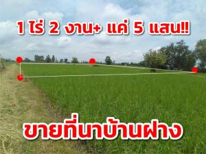 For SaleLandKhon Kaen : Land for sale in Khon Kaen area.