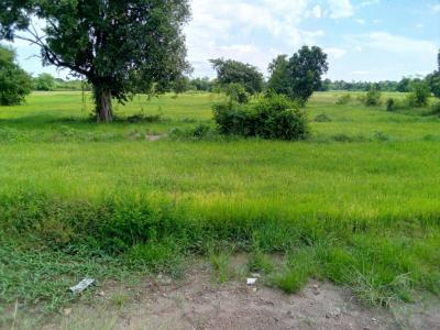 For SaleLandBuri Ram : Land for sale (field) 24-0-76 rai, Ban Bua Subdistrict, Buriram Province, water-fai, access to beautiful fields, suitable for investment, etc.