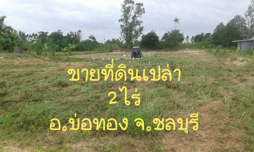 For SaleLandSriracha Laem Chabang Ban Bueng : ⚡ Land for sale, cheap price, beautiful plot, size 2 rai, suitable for building a house for agricultural gardening, Bo Thong District, Chonburi Province ⚡