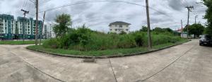 For SaleLandBangna, Bearing, Lasalle : Land for sale in Thana City Village, corner plot, 200 sq wa.