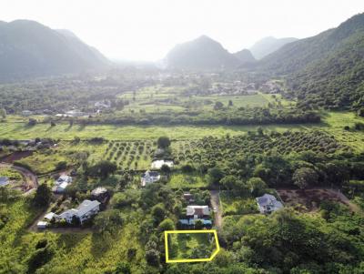 For SaleLandPak Chong KhaoYai : Land for sale in Khao Yai, Mu Si Subdistrict, Pak Chong District, 1 rai, just seeing the view is happy.