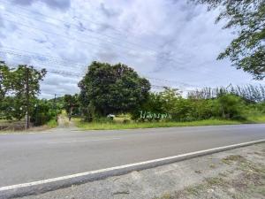 For SaleLandPak Chong KhaoYai : Land for sale, divided for sale, Pak Chong Korat, 7 rai, next to the road 7165, along the highway. farming fruit The production is very large, only 7 million per rai.