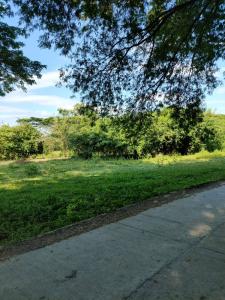 For SaleLandPak Chong KhaoYai : Land for sale, allocated in Muak Lek, Pak Chong, near Mittraphap Road (200 meters), 432 square meters, special price