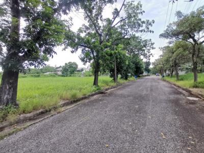For SaleLandSamut Prakan,Samrong : Land for sale in Lakewood Country Club Golf Course, 400 sq wa, beautiful square plot luxury project with a level of privacy.
