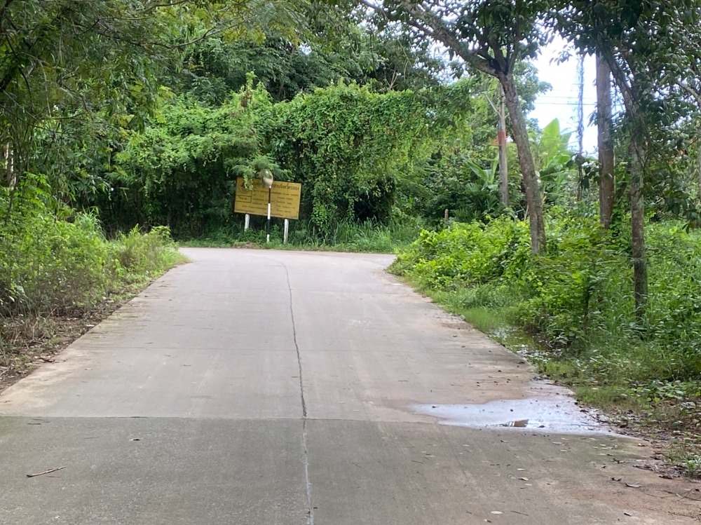 For SaleLandRayong : Land for sale at 0.85 million baht per rai, only 800 meters from Sukhumvit Road, near Suan Son Beach, Muang Rayong District, Rayong Province.