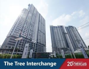 For RentCondoBang Sue, Wong Sawang, Tao Pun : Condo for rent THE TREE INTERCHANGE Tao Poon